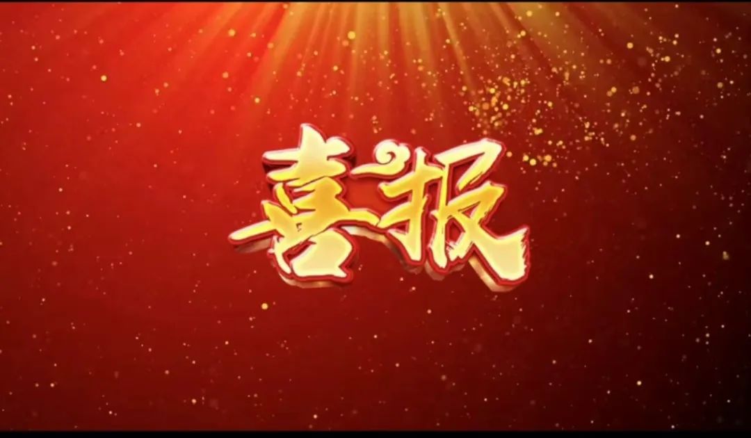 荣誉 | 瓦力游戏荣获&ldquo;2023年杜着秀合作同伴奖，共建共享共赢的范例&rdquo;